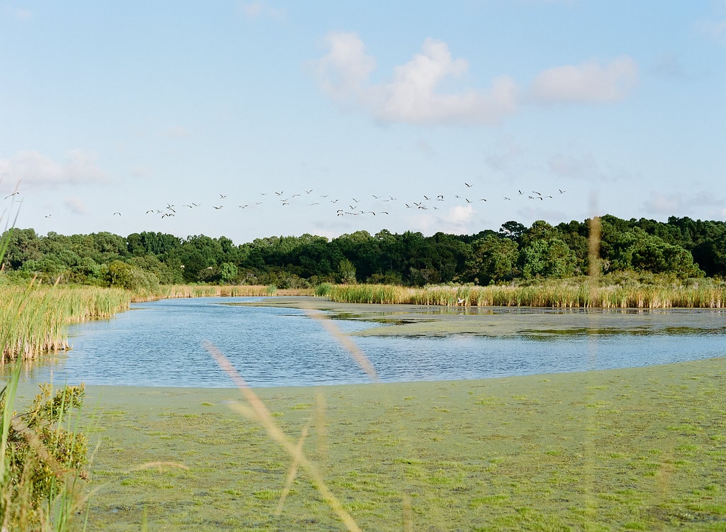 on-the-water-tide-guide-kiawah-river